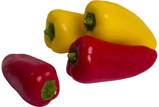 Sweetbite mini paprika rood-geel 1kg kist 2 stuks